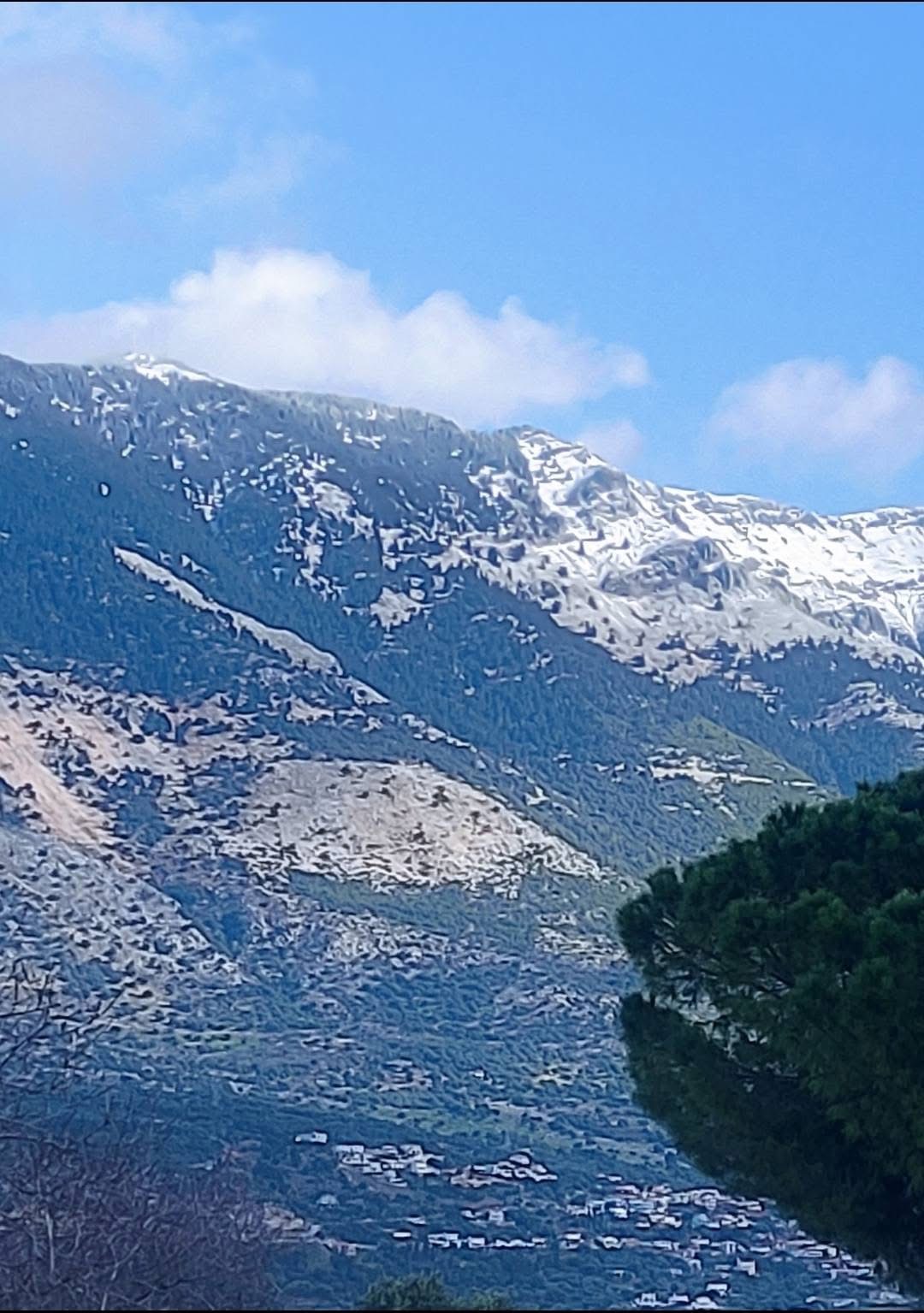 Άσπρισε για τα καλά ο Αίνος – Ισχυρές χιονοπτώσεις στο μεγάλο βουνό [εικόνες +βίντεο]