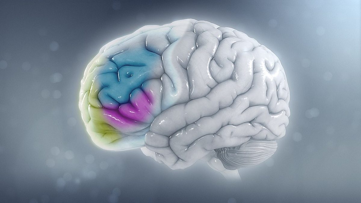 ΔΕΠΥ: Πώς επηρεάζει το προσδόκιμο ζωής