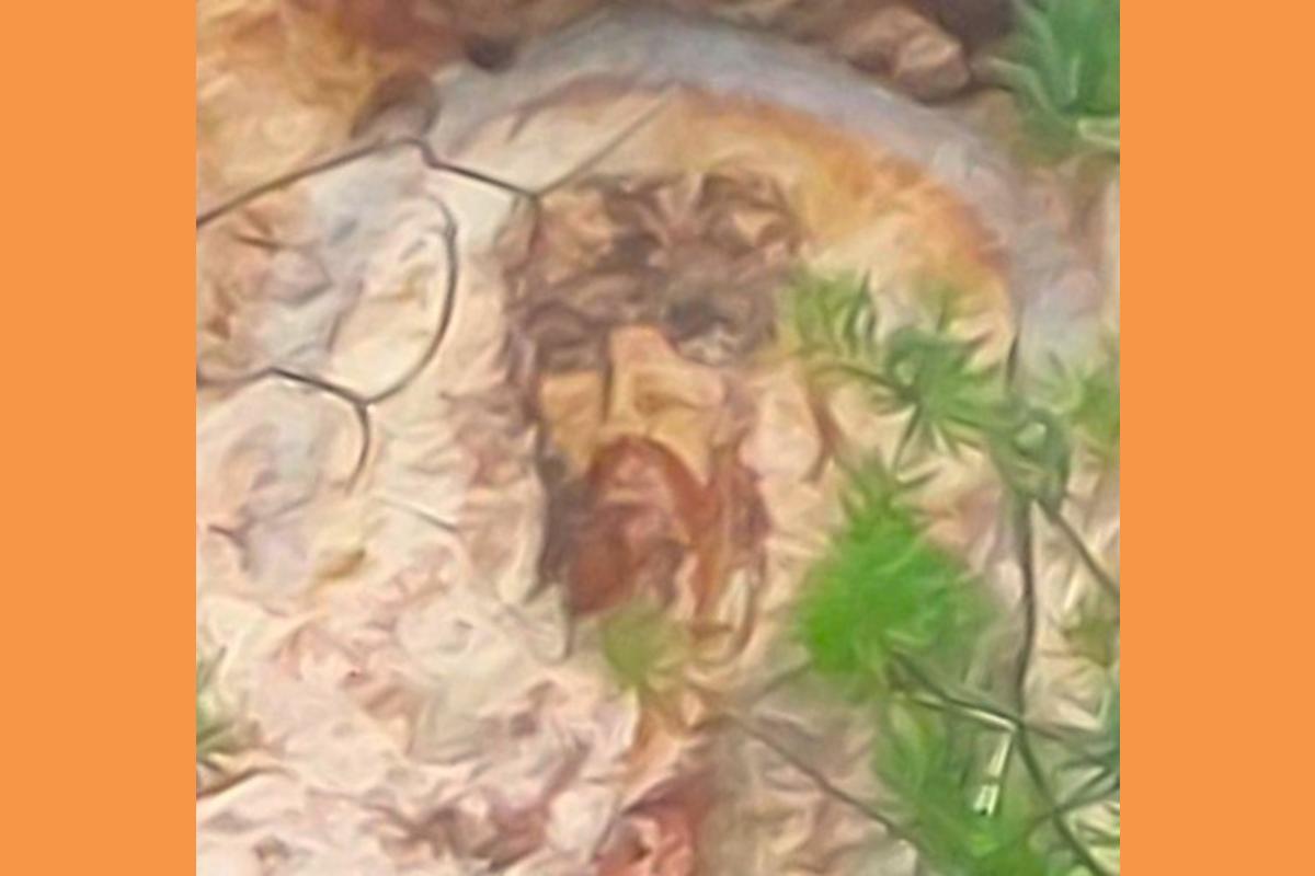 Γεράσιμος Νεόφυτος Έκπληξη δώρο σήμερα το πρωί 10/1 από τον Φίλο Μπάμπη Βασιλάτο.