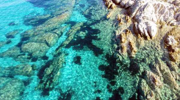 Ανοιχτή Ημερίδα για το Θαλάσσιο Πάρκο και την ΕΠΜ στο Δημοτικό Θέατρο