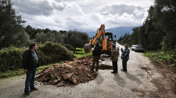 Καθίζηση-σοκ στον δρόμο Σάμης – Πουλάτων: Ρίζα ελιάς «άνοιξε» το οδόστρωμα [εικόνες]