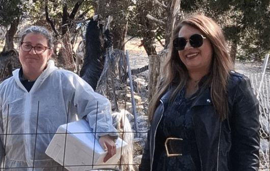 Αυτοψία Σμαράγδας στο Οδυσσειακό Κέντρο Ιθάκης