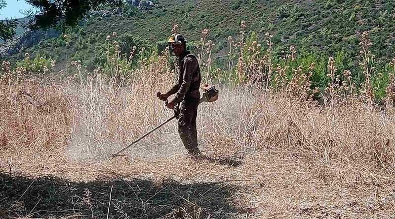 Δήμος Σάμης: Καθαρίστε τα οικόπεδα έως 15 Ιουνίου – Υποχρεωτική δήλωση στο Μητρώο