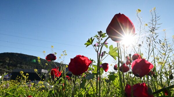 Καιρός: Πώς θα κάνουμε Πρωτομαγιά – Η πρόγνωση Αρναούτογλου