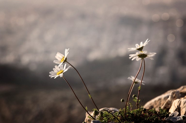 Καιρός: Σήμερα… κοντομάνικο, από αύριο βροχές και αισθητή πτώση θερμοκρασίας