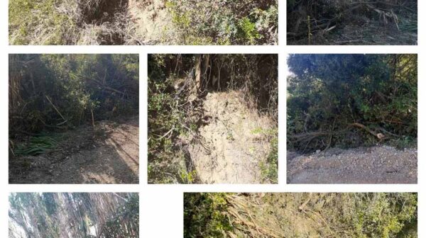 Καταγγελία για αυθαιρεσίες: Έφτιαξαν αγροτικό δρόμο, κατέστρεψαν περιουσία