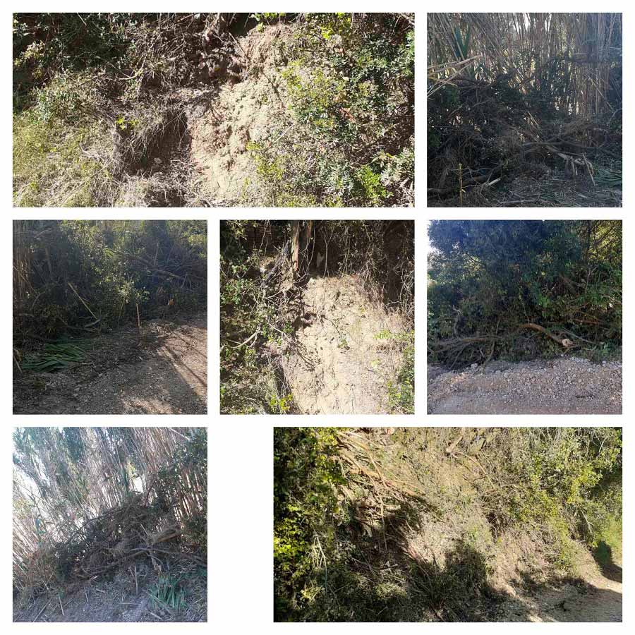 Καταγγελία για αυθαιρεσίες: Έφτιαξαν αγροτικό δρόμο, κατέστρεψαν περιουσία