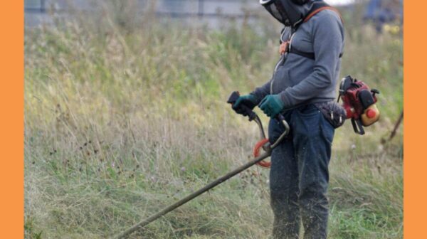 Καθαρισμός οικοπέδων: Δημοσιεύθηκε η ΚΥΑ με προθεσμίες και πρόστιμα