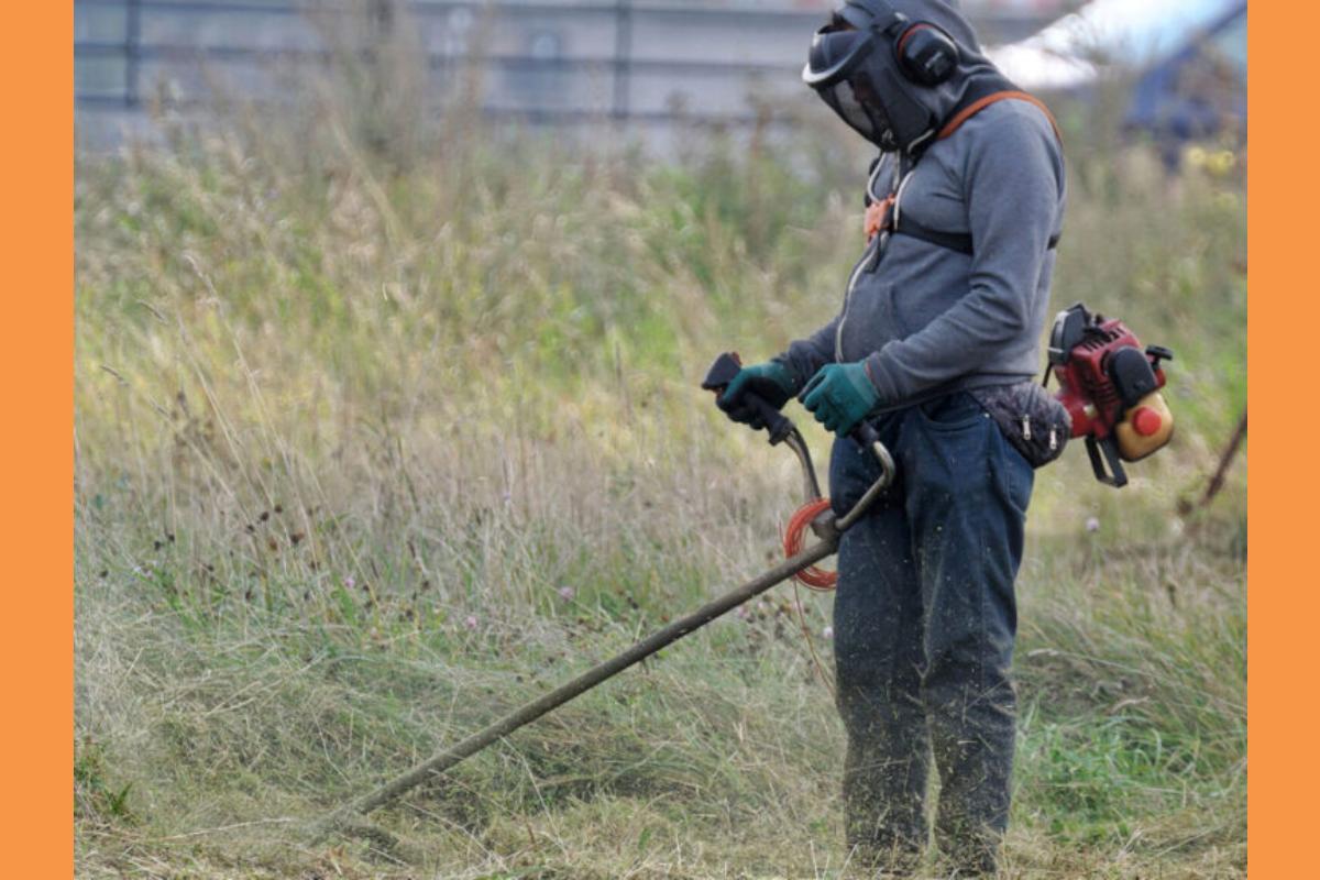 Καθαρισμός οικοπέδων: Δημοσιεύθηκε η ΚΥΑ με προθεσμίες και πρόστιμα