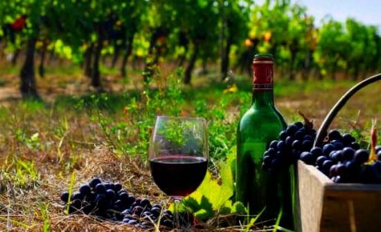 Κεφαλονιά: Πού υπάρχουν δουλειές –Εκδήλωση για τουρισμό και αγροδιατροφή