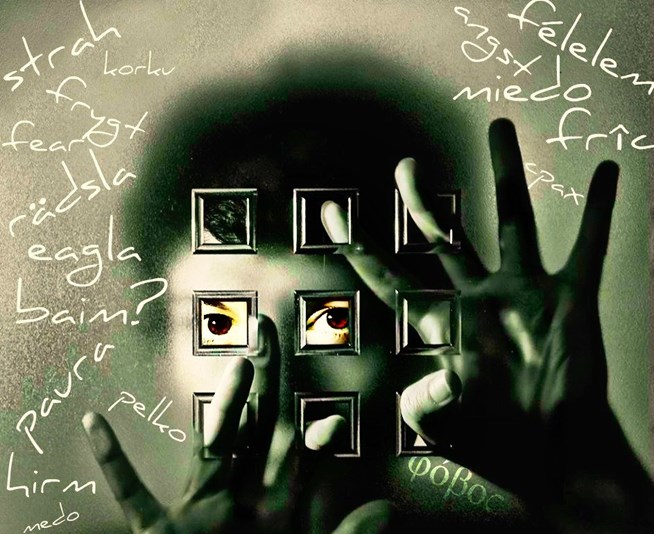 Κεφαλονιά: Το νέο Διοικητικό Συμβούλιο της Ε.Μ.Ε