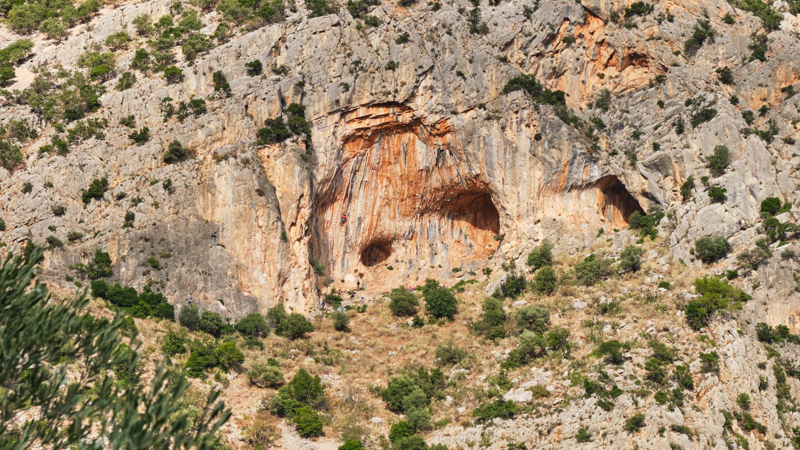 Λεωνίδιο: Άνοιξη στην καρδιά της Τσακωνιάς