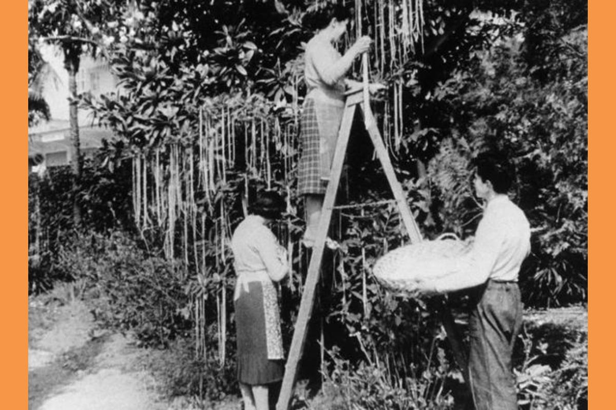 Πρωταπριλιά