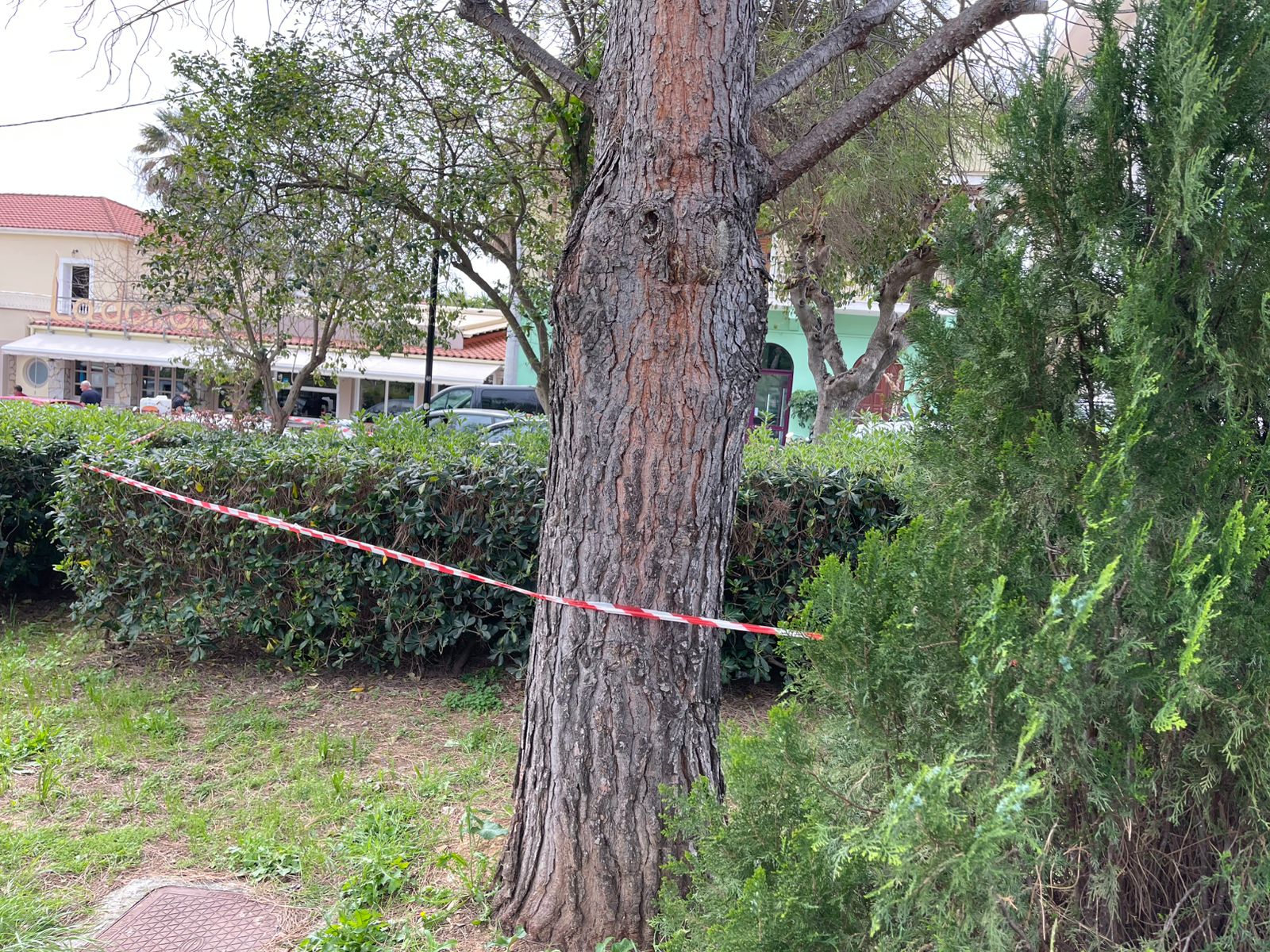 Σκηνικό μυστηρίου στο Αργοστόλι: Δύο άτομα δίνουν καταθέσεις για την 19χρονη [εικόνες]