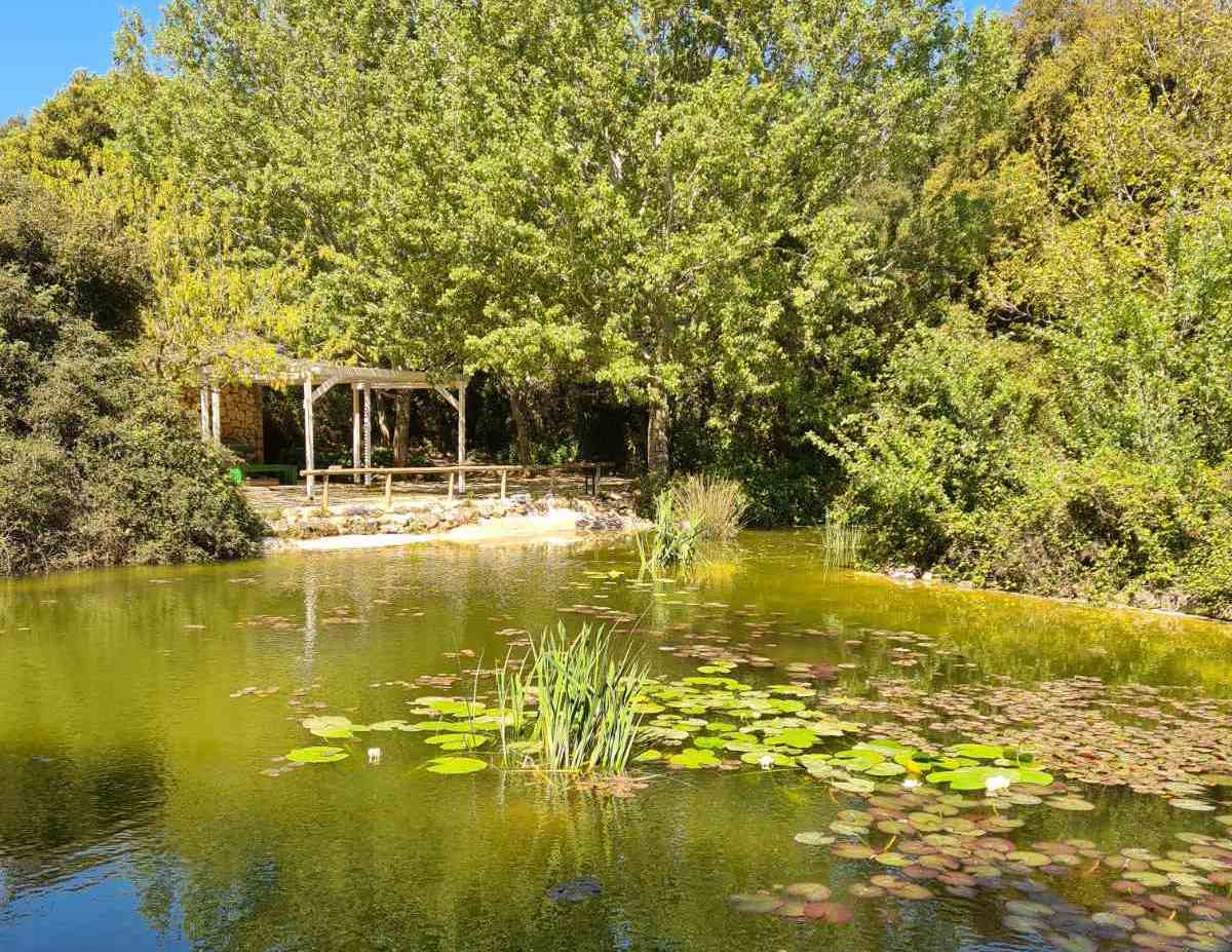 Βοτανικός Κήπος Κεφαλονιάς: Άνοίγει ξανά για το κοινό ενόψει Πάσχα