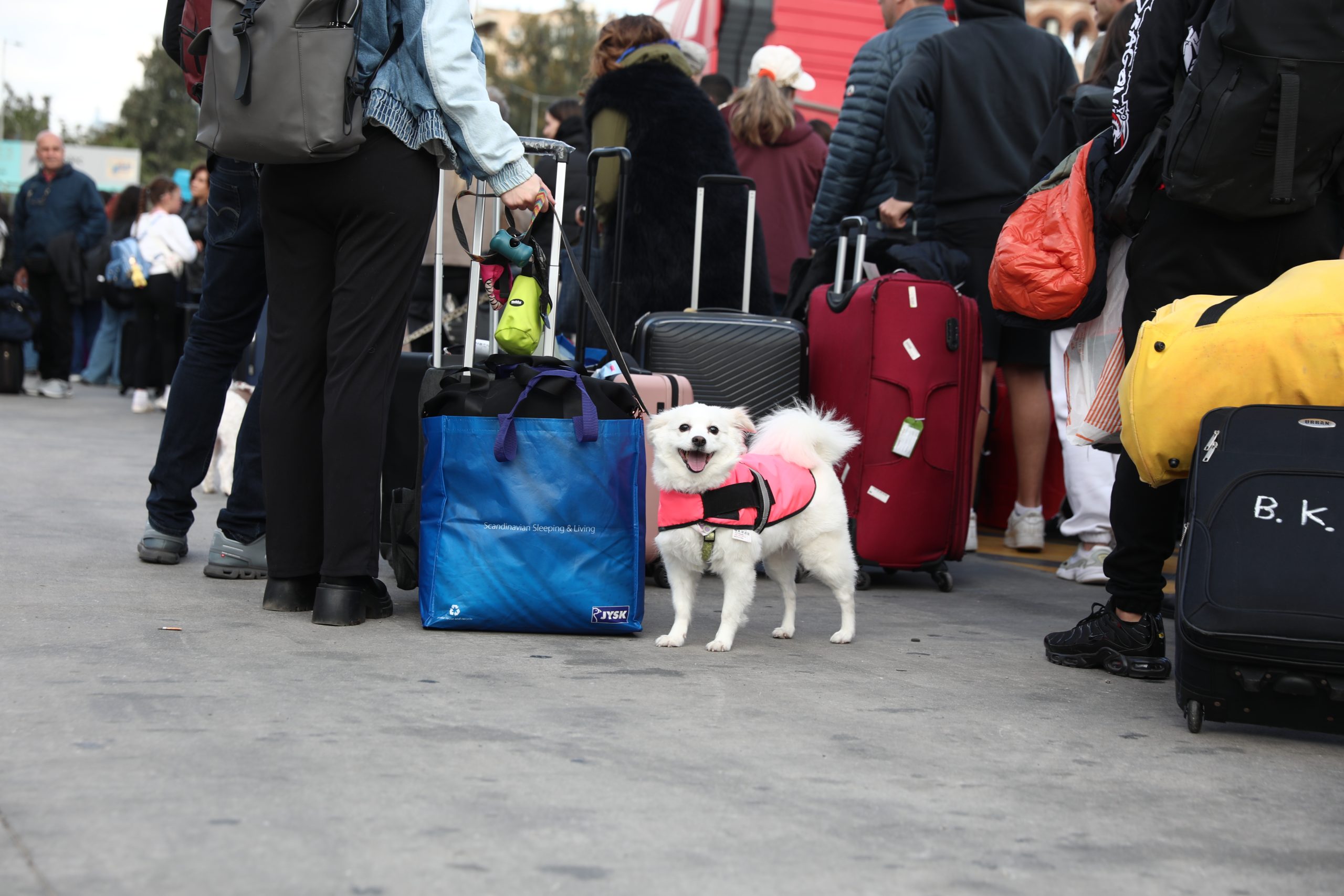 Υψηλές πληρότητες στα ακτοπλοϊκά δρομολόγια και το ΚΤΕΛ – Οι εκδρομείς εγκαταλείπουν μαζικά τις πόλεις