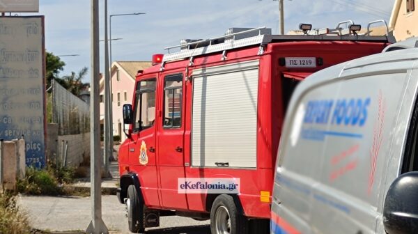 Φωτιά σε βανάκι στον περιφερειακό Αργοστολίου από ηλεκτρική βλάβη [εικόνες +βίντεο]