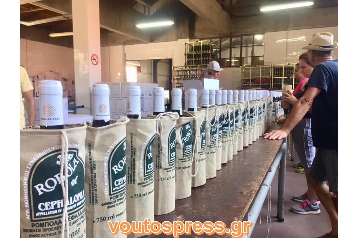 5ο Kefalonia Wine Hub: Στο επίκεντρο η Ρομπόλα, η «βασίλισσα» της Κεφαλονιάς