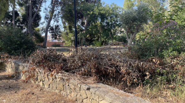 Αργοστόλι: Εικόνες εγκατάλειψης στον Κήπο του Νάπιερ – Ποιος θα απομακρύνει τα ξερά χόρτα;