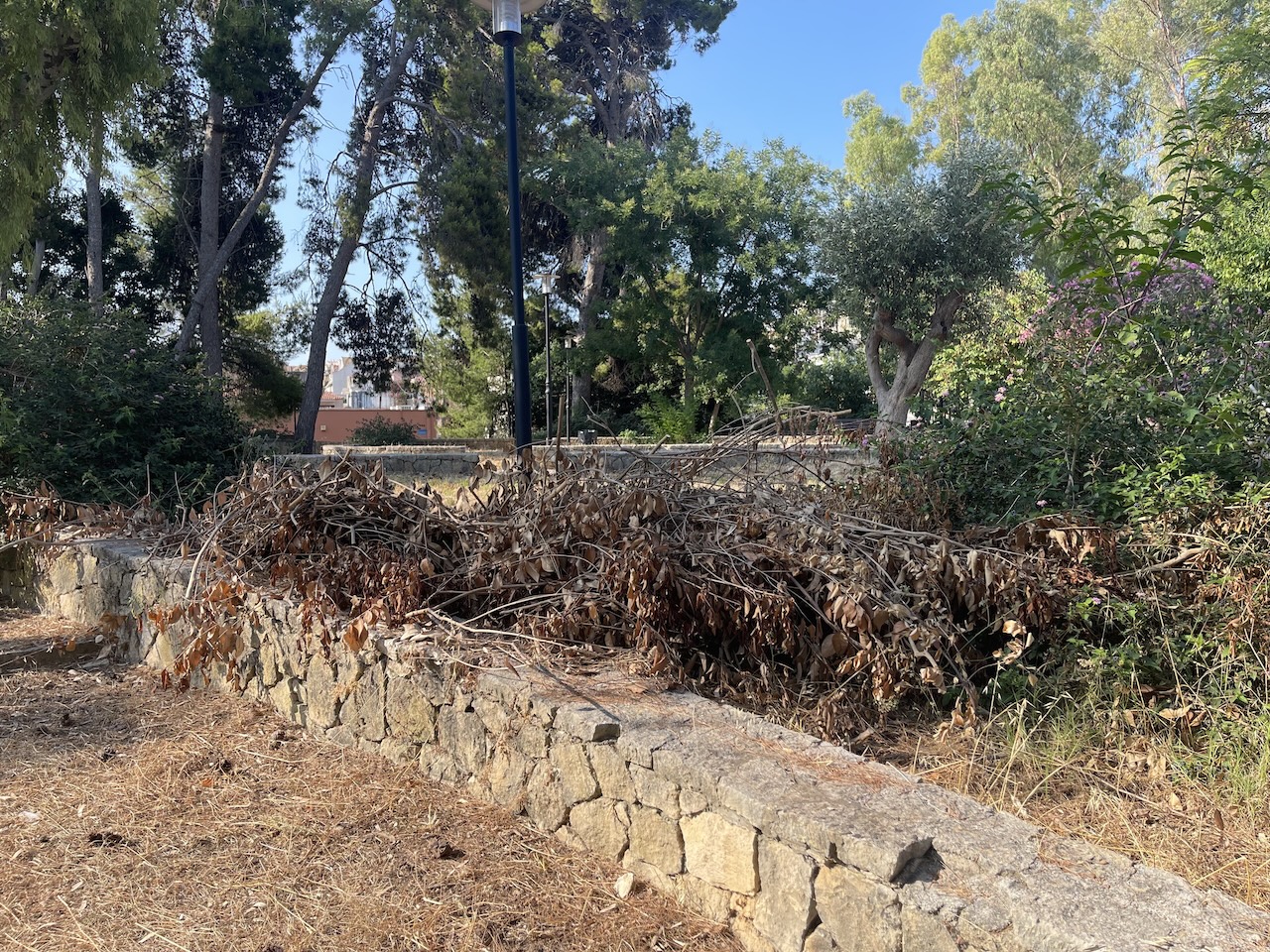 Αργοστόλι: Εικόνες εγκατάλειψης στον Κήπο του Νάπιερ – Ποιος θα απομακρύνει τα ξερά χόρτα;