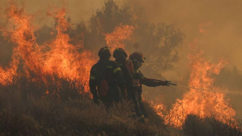 Μαύρη μέρα για το Πυρεσβεστικό Σώμα & όλη την Ελλάδα η σημερινή: 3 νεκροί πυροσβέστες απ’ τις χθεσινές πυρκαγιές σε Ρέθυμνο και Γύθειο