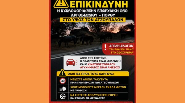 ​Αγέλη αλόγων στον δρόμο Αργοστολίου – Πόρου (Ύψος Ατσουπάδες) SOS SOS Mεγαλη Προσοχή απο τους Οδηγούς