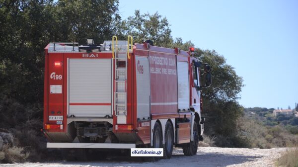 Αναζωπύρωση της φωτιάς στον Κατελειό – Ισχυρές δυνάμεις στο σημείο