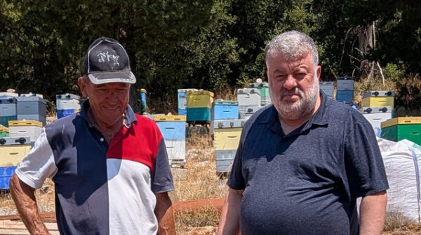 Δήμος Αργοστολίου: Η νέα γεώτρηση στα Ραζάτα θα δώσει λύση στο πρόβλημα νερού στα Φαρακλάτα