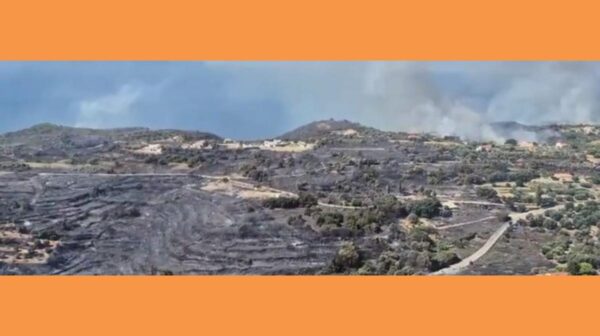 Κεφαλονιά: Ο Ανδρέας Κωνσταντάτος στα όρια της πύρινης καταστροφής (vid)