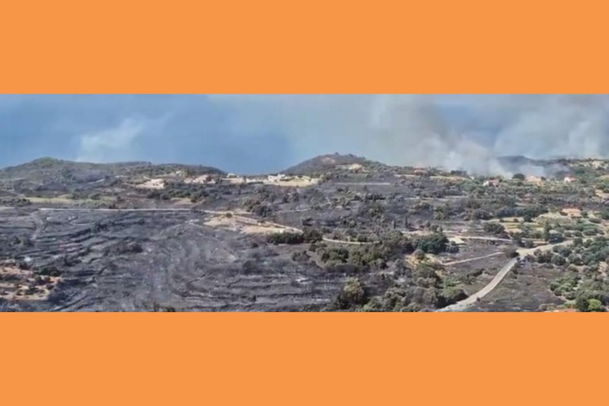 Κεφαλονιά: Ο Ανδρέας Κωνσταντάτος στα όρια της πύρινης καταστροφής (vid)