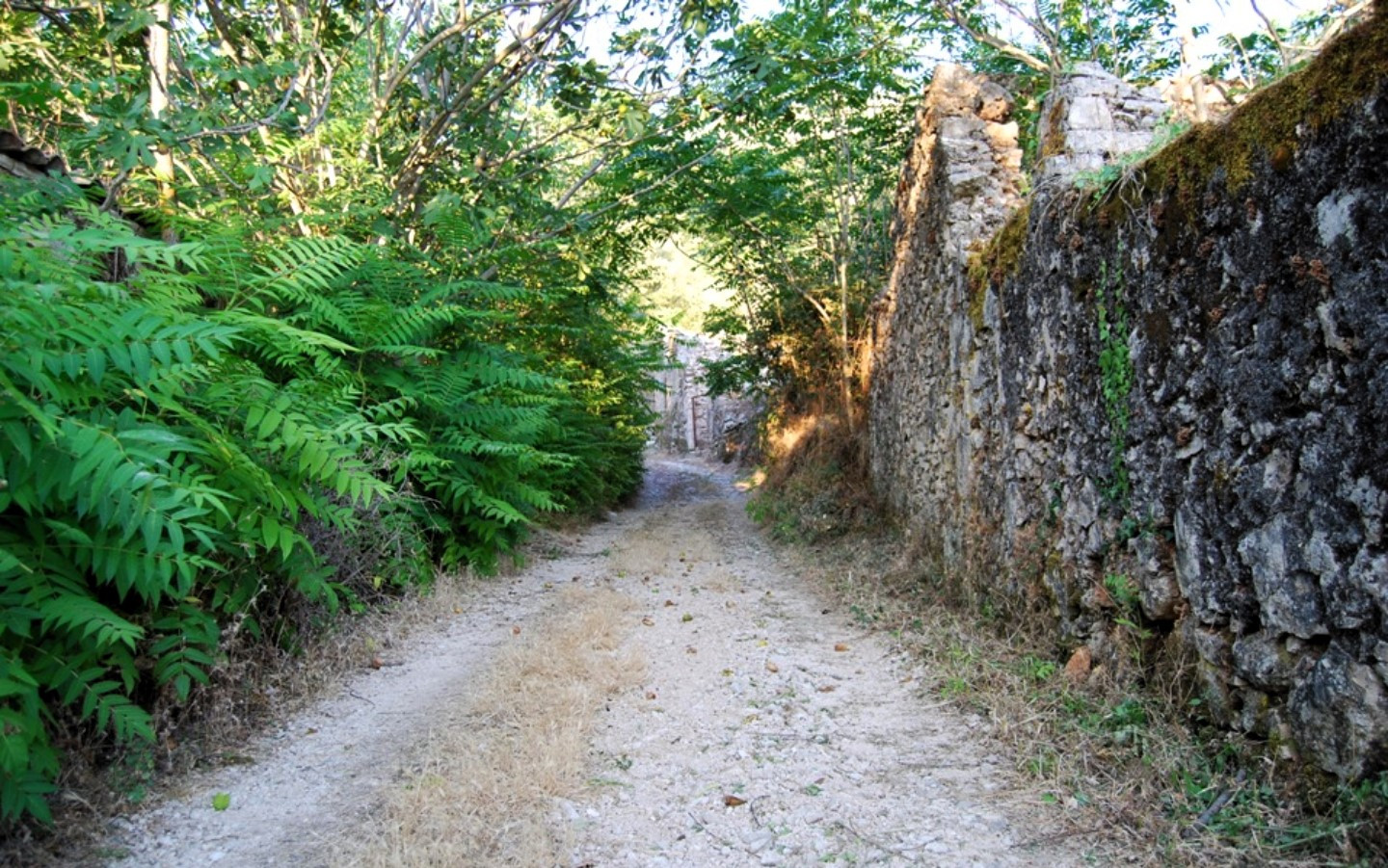 «Οι 12 Βόρτες»: ο 1ος Ημιορεινός Αγώνας Trail, 10,4 χλμ