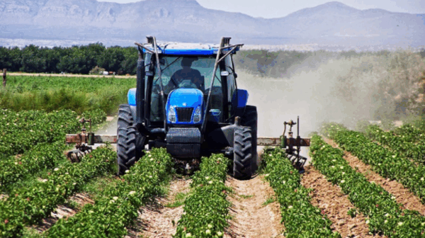 Ξεκίνησαν οι αιτήσεις μεταβιβάσεων δικαιωμάτων βασικής αγροτικής ενίσχυσης