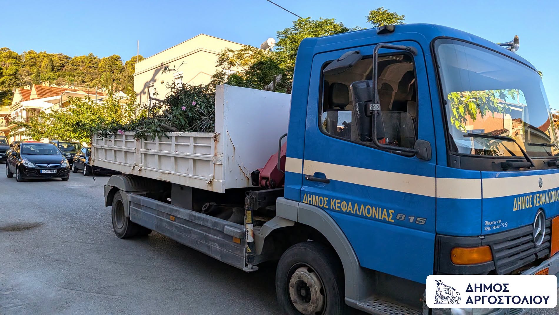Φύτευση 30 μουριών στην οδό Μομφεράτου
