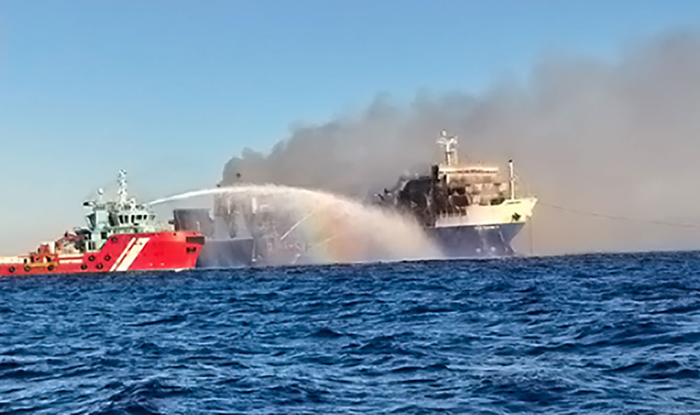 Σύλλογος Ναυτικών Κεφαλονιάς για το «BLUE CARRIER II»: Άμεση διερεύνηση και αυστηρότεροι έλεγχοι στα πλοία