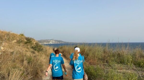 Wildlife Sense: Οι τελευταίες δράσεις και καταγραφές για την προστασία της θαλάσσιας χελώνας “caretta caretta” στην Κεφαλονιά [εικόνες]