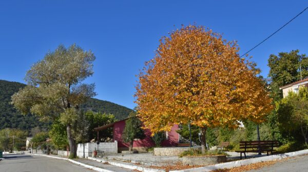 Φραγκάτα: Αναμένουν τις επόμενες ενέργειες μετά την απόφαση του Δημοτικού Συμβουλίου